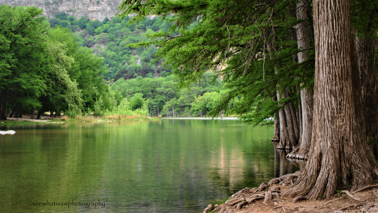 green-pastures-still-waters-the-text-messages